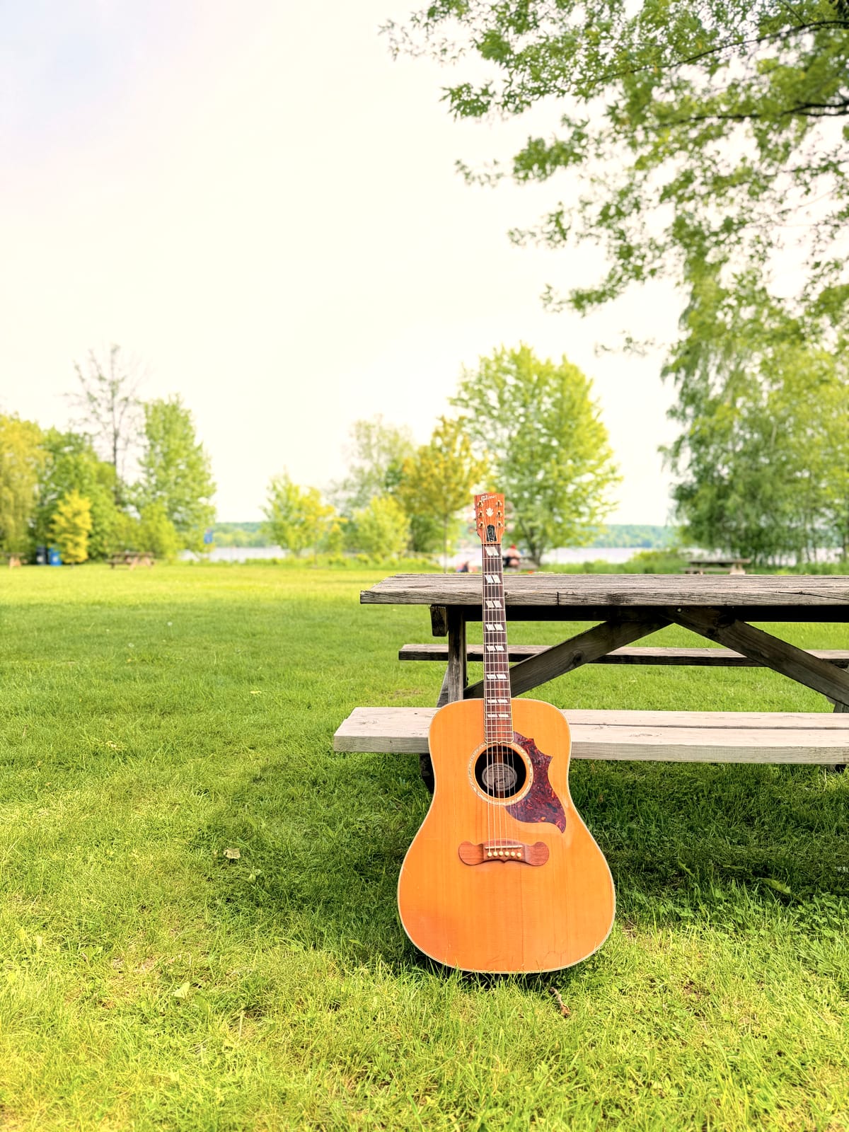 La guitare posée sur une table de parc